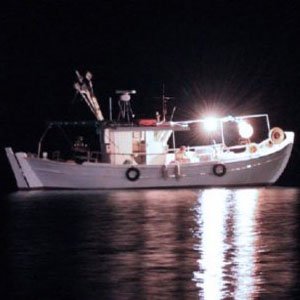 LED Φωτιστικά Αλιείας