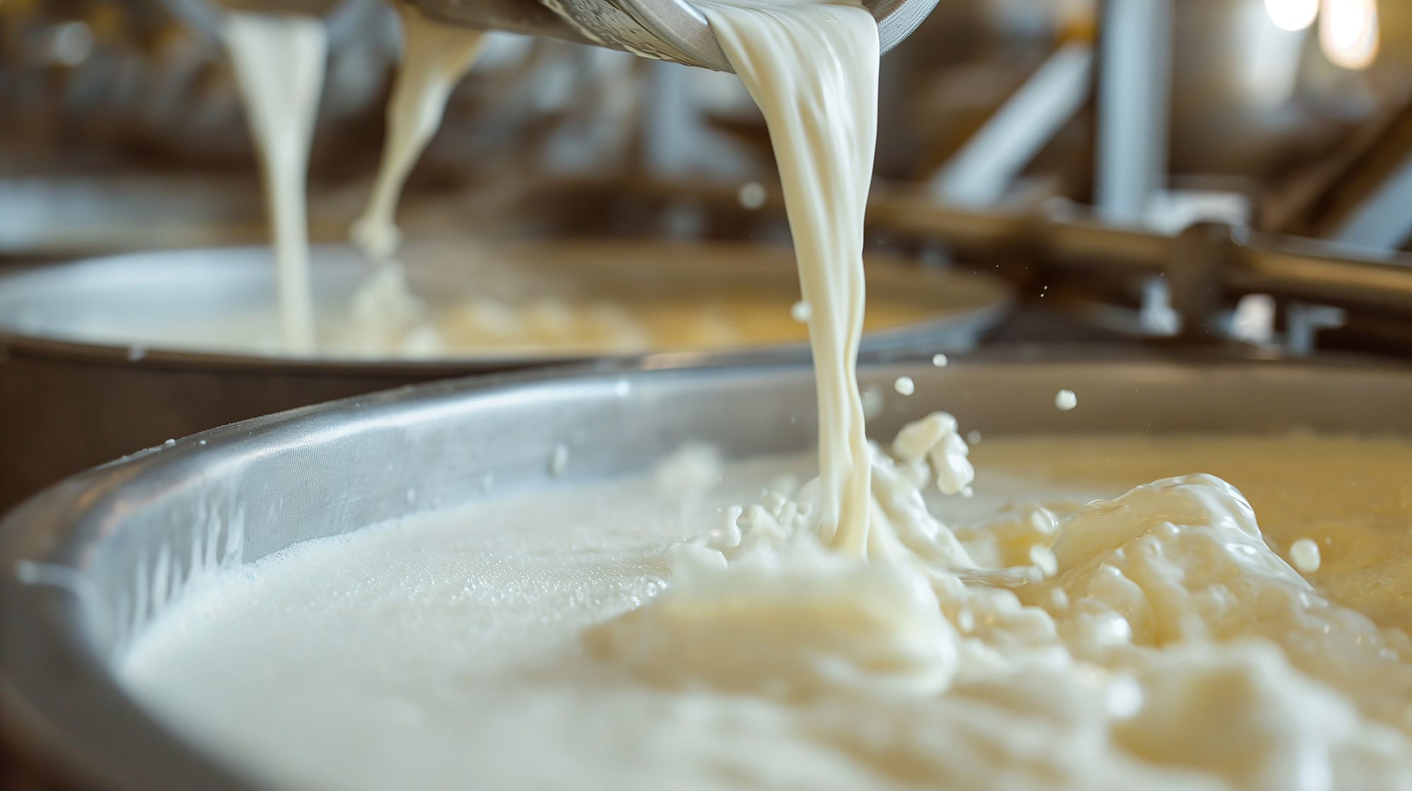 Milk production in modern dairy facility